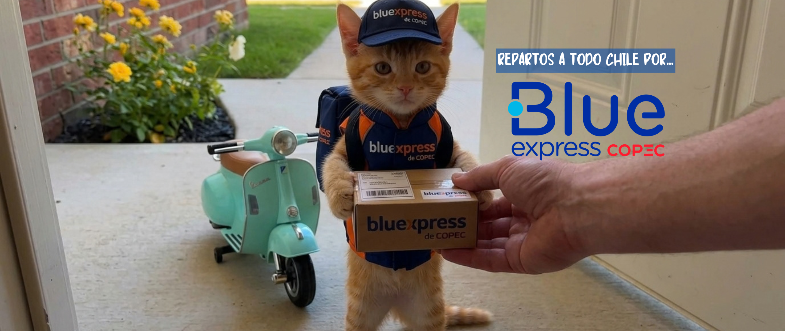 Repartos a todo Chile por Blue Express y Copec